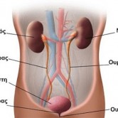 Φυσική θεραπεία κυστίτιδας & ουρολοιμώξεων